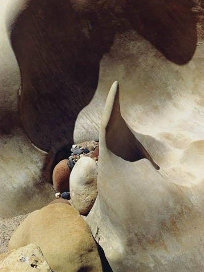 Eliot Porter, Sculptured Rock