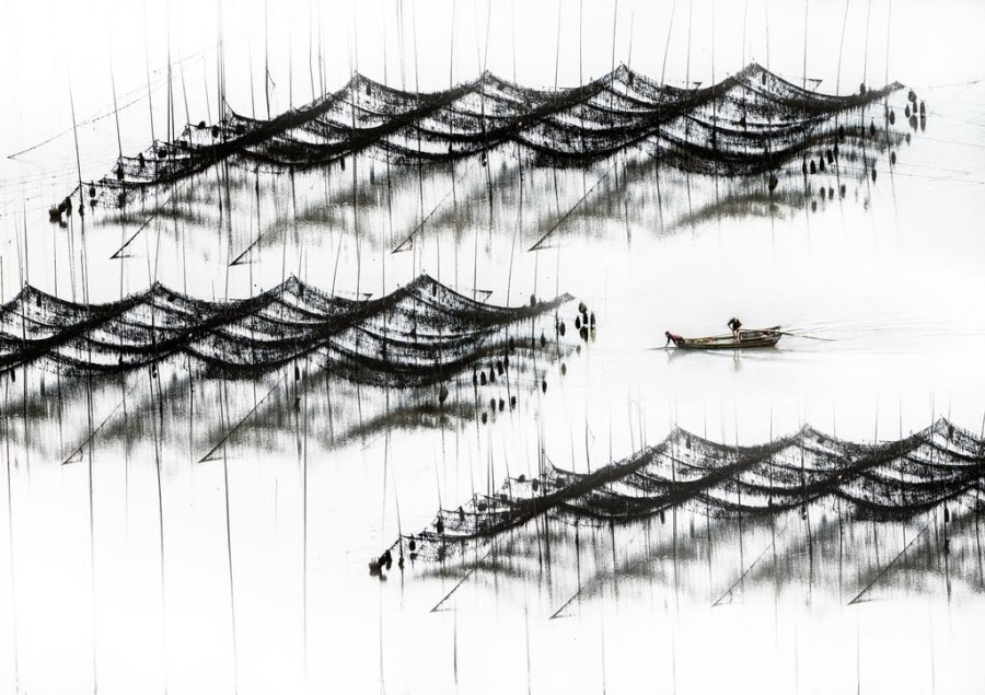 Donghai Xia, Traversing the Waves