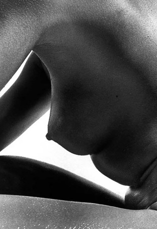 Ralph Gibson, Bronze Nude | Afterimage Gallery