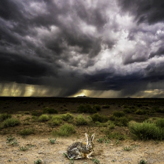 Elliott McDowell, Storm Eye | Afterimage Gallery