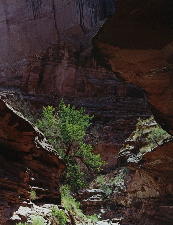 Eliot Porter, Coyote Gulch