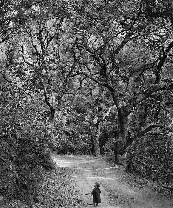 Wynn Bullock Child on Forest Road | Afterimage Gallery